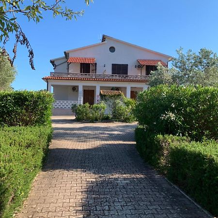 Villa Conti Residence Lacona Dış mekan fotoğraf