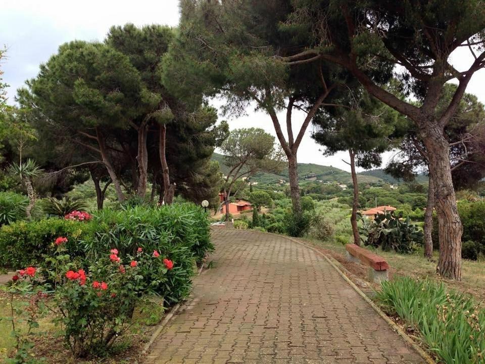 Villa Conti Residence Lacona Dış mekan fotoğraf