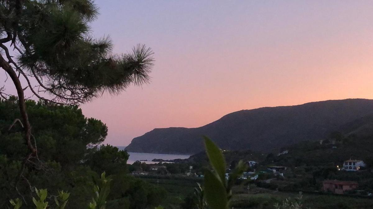Villa Conti Residence Lacona Dış mekan fotoğraf