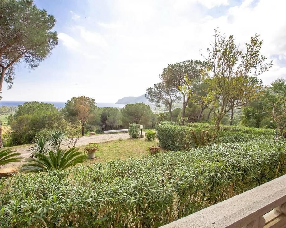 Villa Conti Residence Lacona Dış mekan fotoğraf