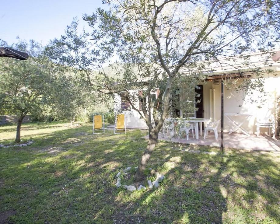 Villa Conti Residence Lacona Dış mekan fotoğraf